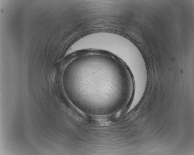 X0000068900233200605081353