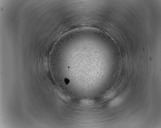 X0000068900234200605081353