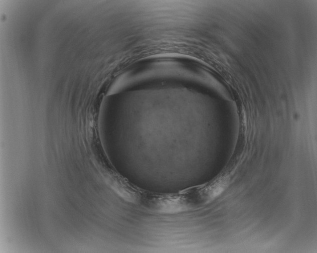 X0000068900235200605081353