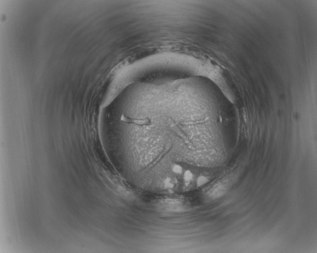 X0000068900236200605081353