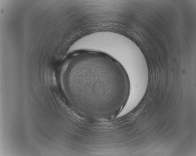 X0000068900237200605081353