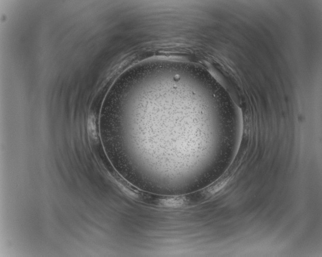 X0000068900238200605081353