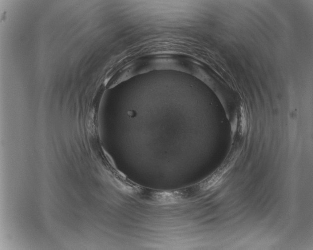 X0000068900239200605081353