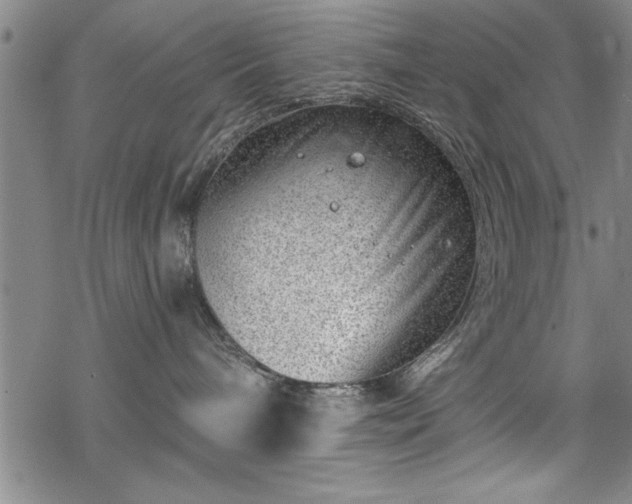 X0000068900240200605081353