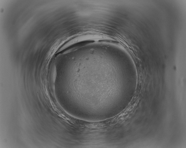 X0000068900241200605081352