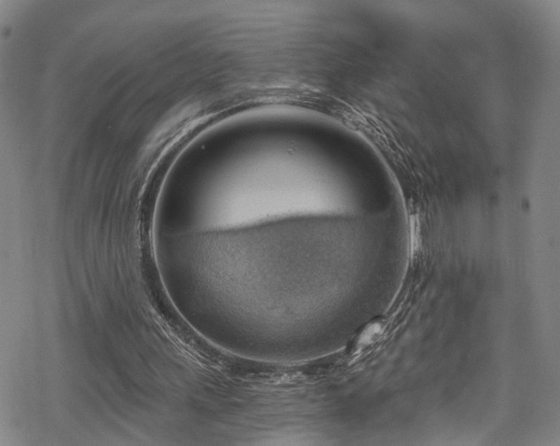 X0000068900243200605081352