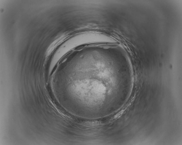 X0000068900245200605081352