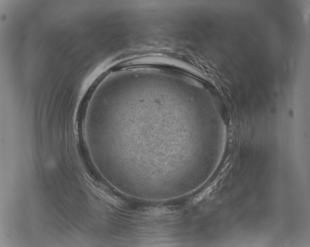 X0000068900246200605081352