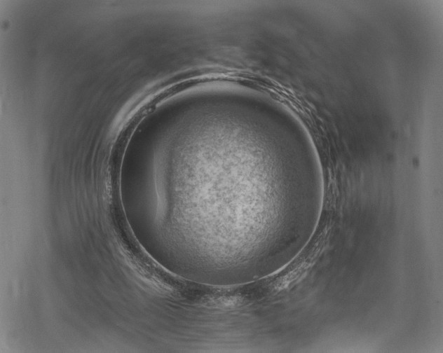 X0000068900247200605081352