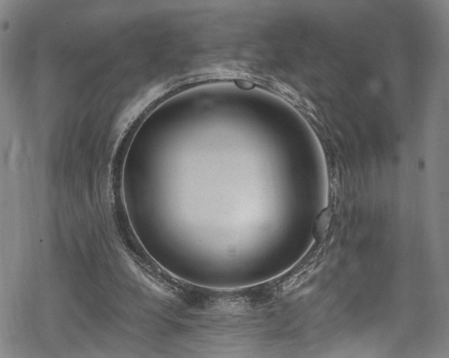 X0000068900248200605081352