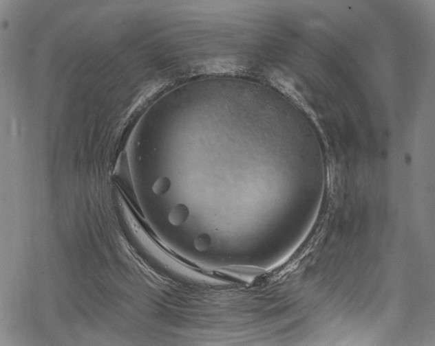 X0000068900249200605081352