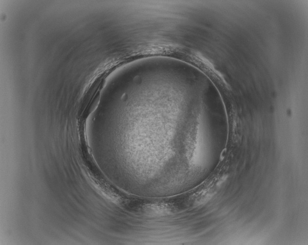 X0000068900250200605081352