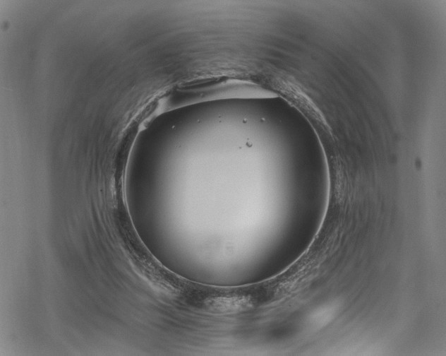 X0000068900251200605081353