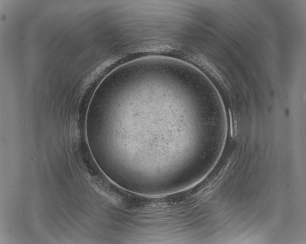 X0000068900252200605081353