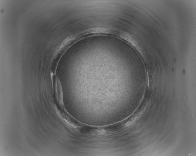 X0000068900253200605081353