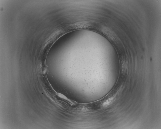 X0000068900254200605081353