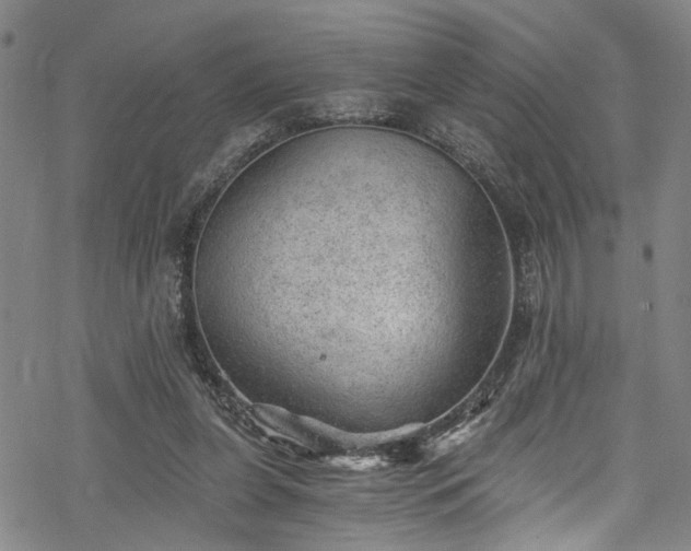 X0000068900255200605081353