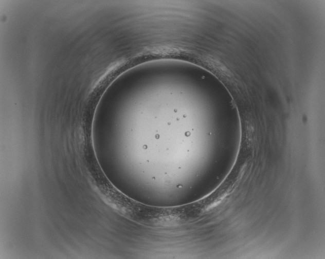 X0000068900256200605081353