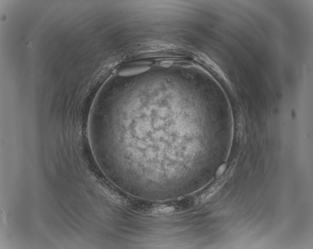 X0000068900257200605081353