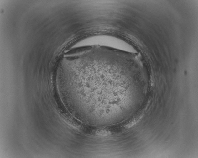 X0000068900258200605081353