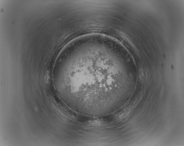 X0000068900259200605081353