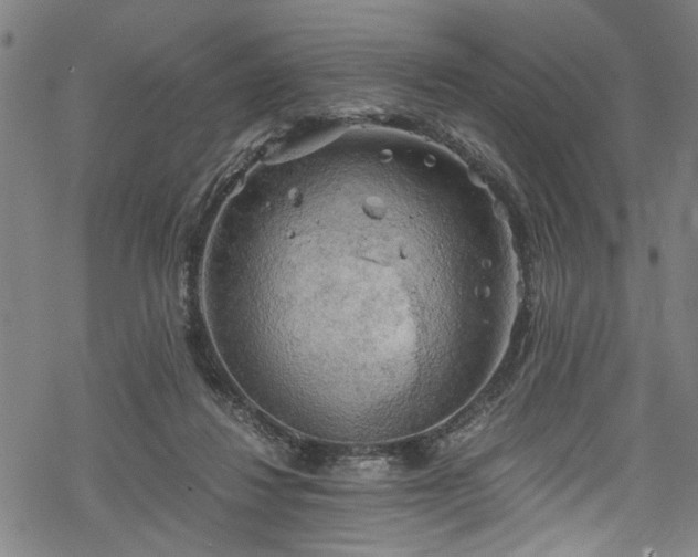 X0000068900260200605081353