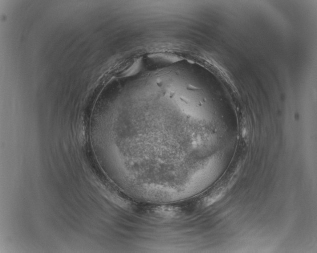 X0000068900261200605081353