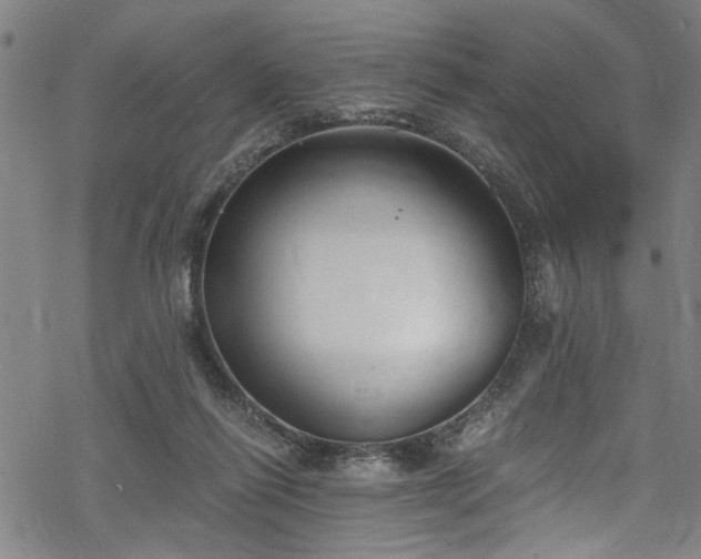 X0000068900262200605081353