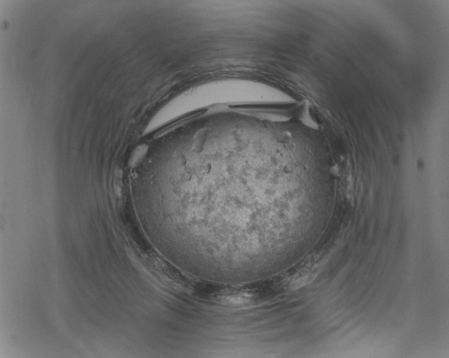 X0000068900263200605081353