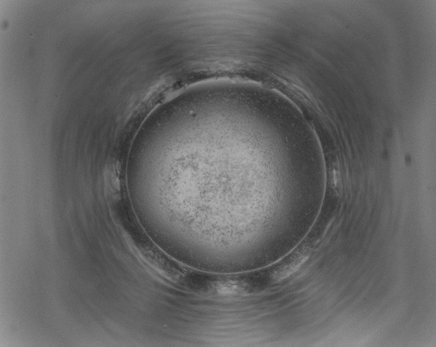 X0000068900264200605081353