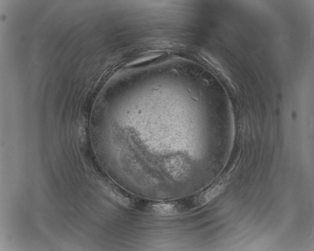 X0000068900265200605081353