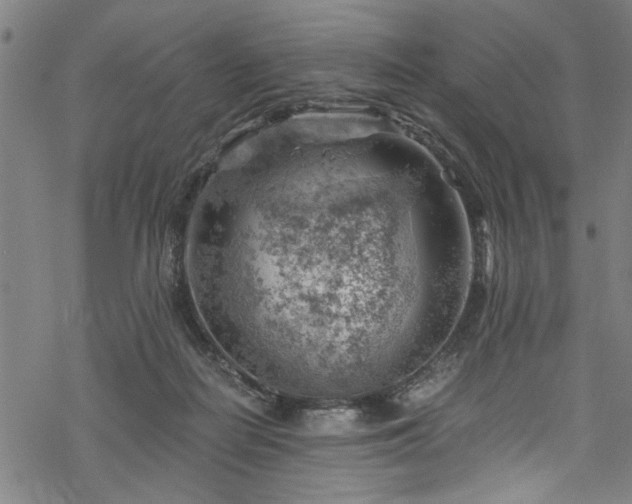 X0000068900266200605081353