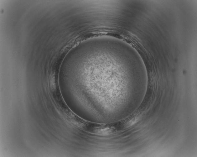 X0000068900267200605081353