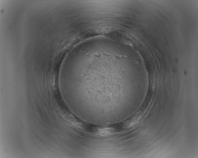 X0000068900268200605081353