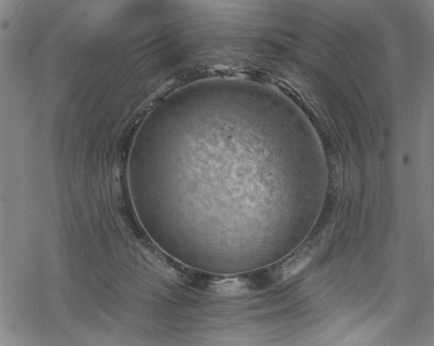 X0000068900269200605081353