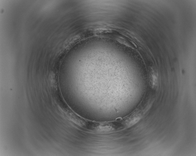 X0000068900270200605081353