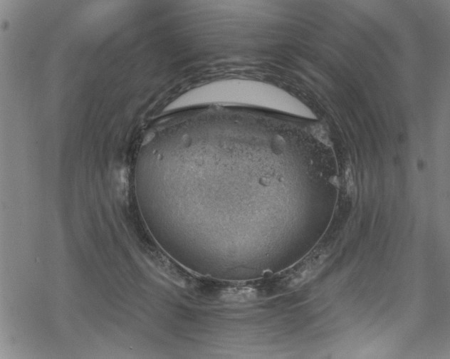 X0000068900271200605081353