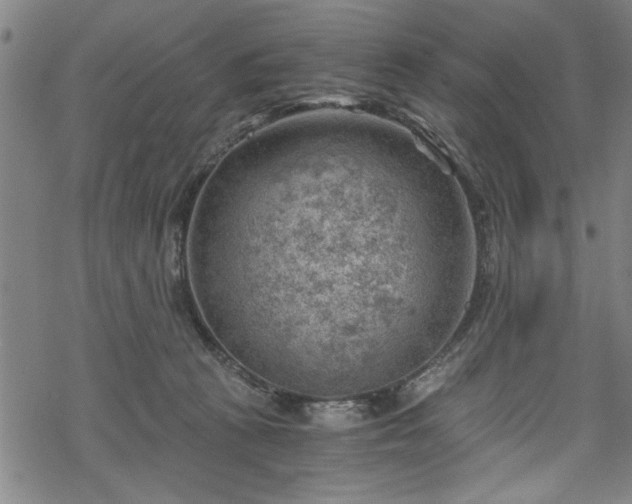 X0000068900273200605081353