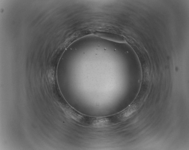 X0000068900274200605081353