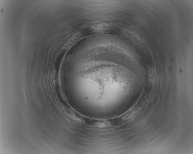 X0000068900275200605081353