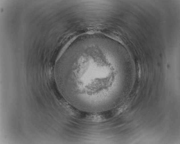 X0000068900276200605081353