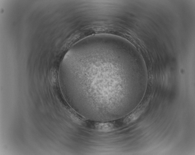 X0000068900277200605081353