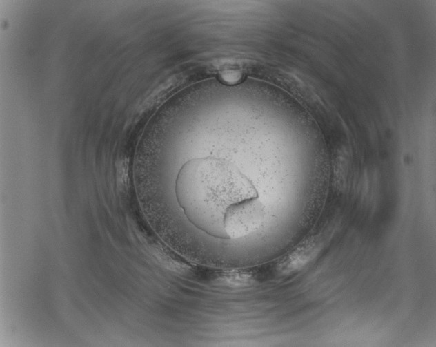 X0000068900278200605081353