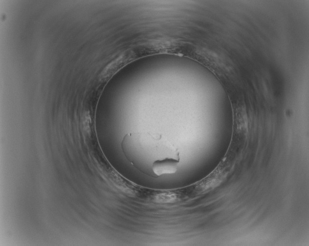 X0000068900279200605081353