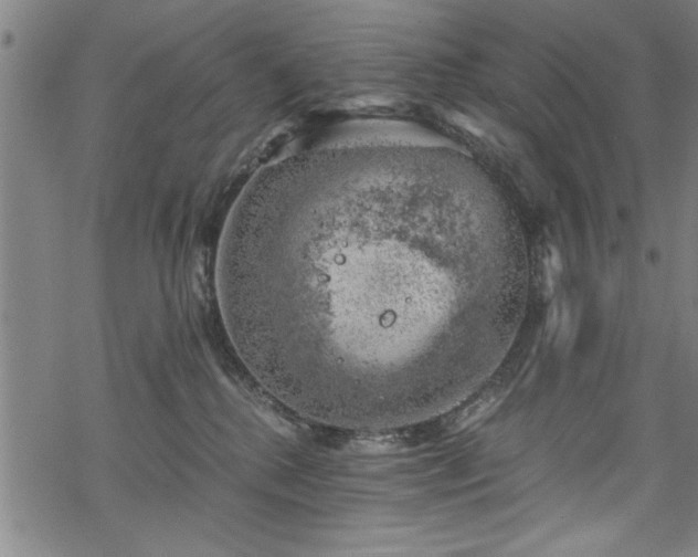 X0000068900280200605081353