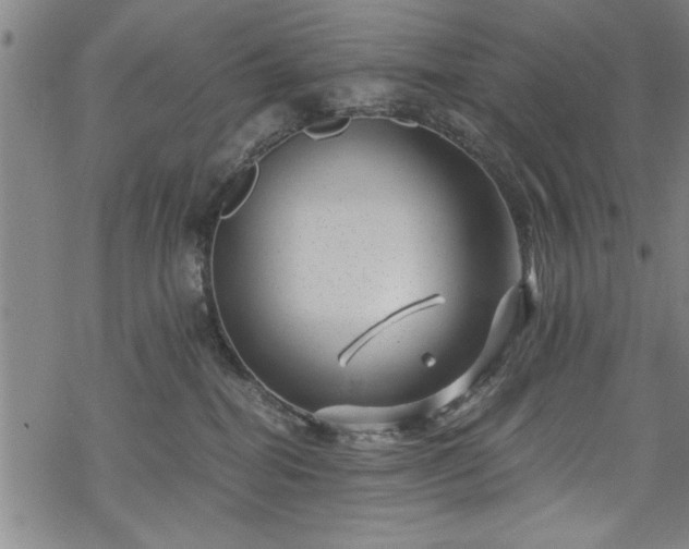 X0000068900282200605081353