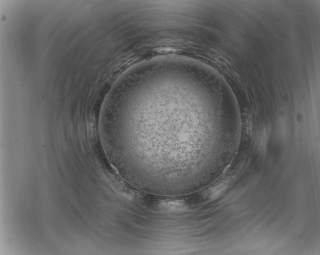 X0000068900283200605081353