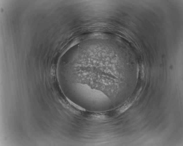 X0000068900284200605081353