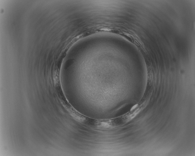 X0000068900285200605081353