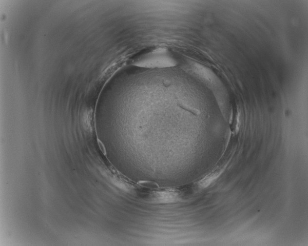 X0000068900286200605081353